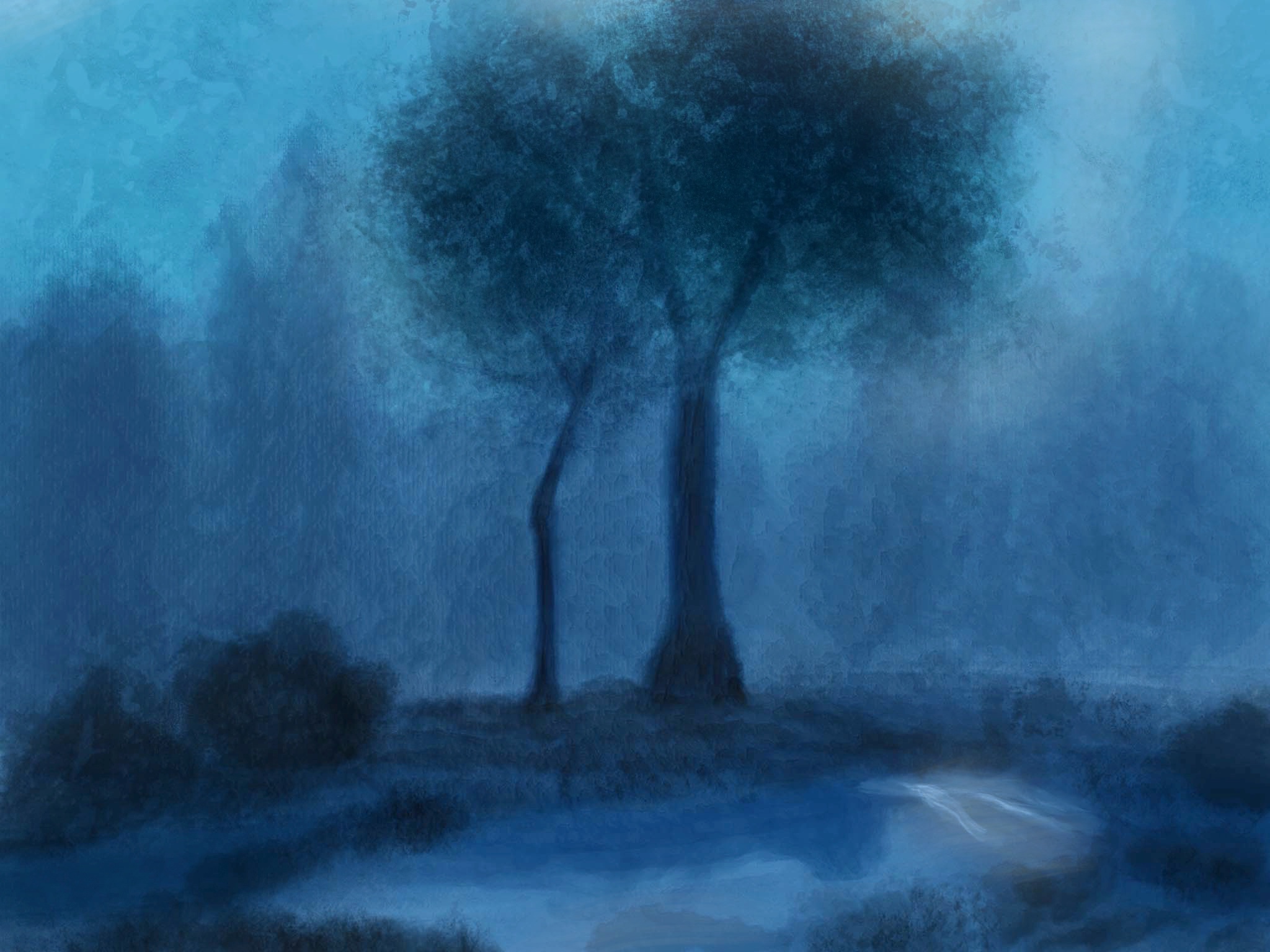 Moonlit Pond