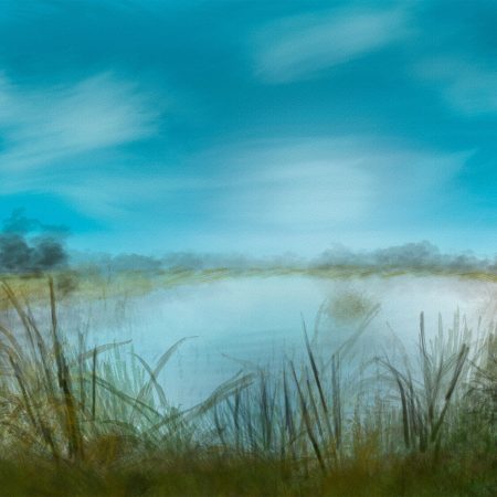 Laguna Niguel Lake