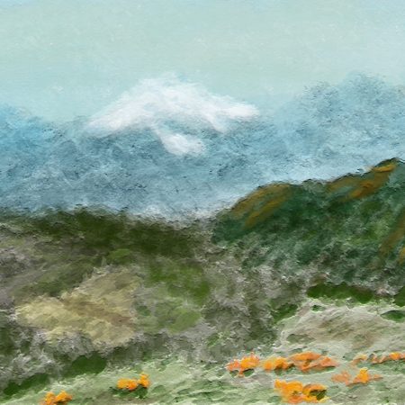 Valley Splendor